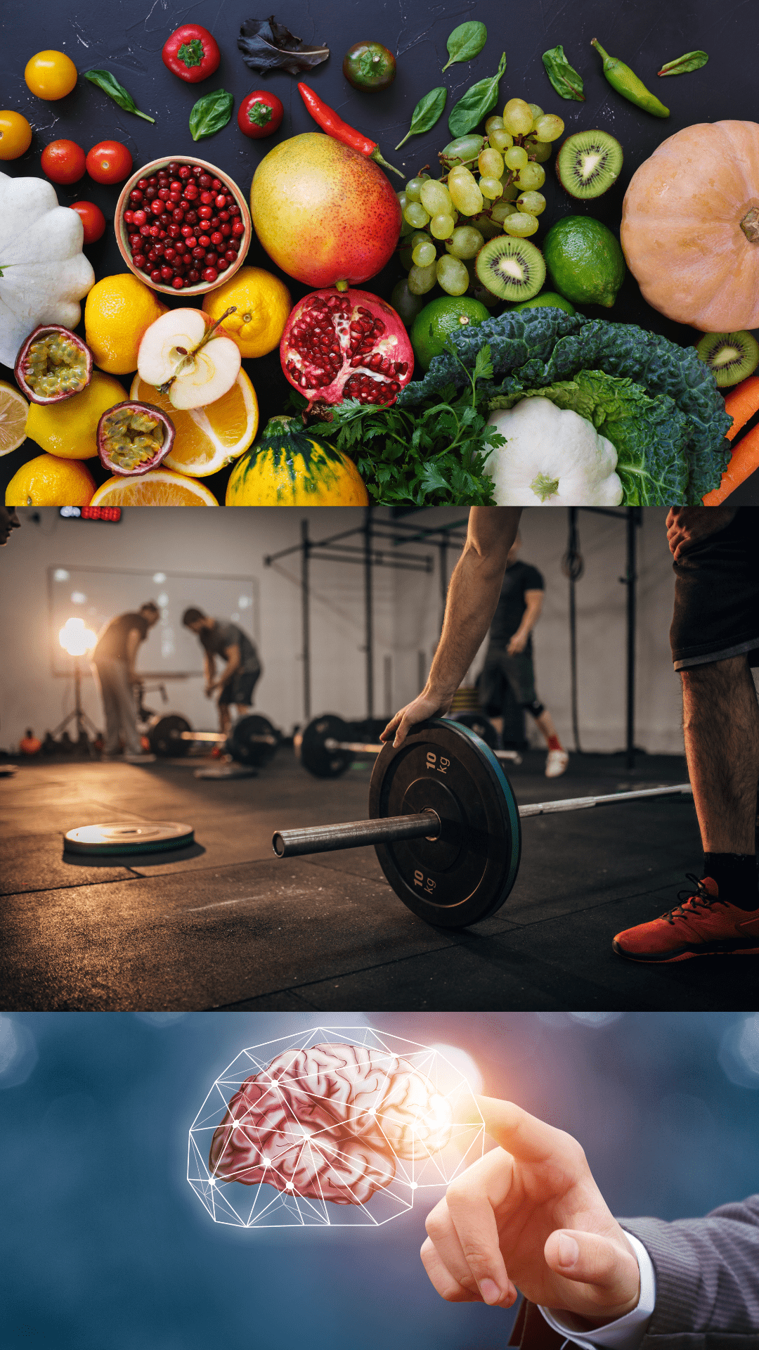 piliers nutrition, sport, mindset, programme perte de poids